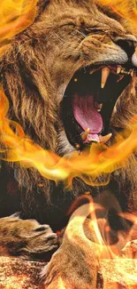 Lion with a fiery mane roaring fiercely in vibrant orange flames.