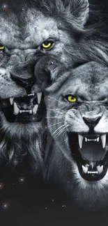 Fierce lion and lioness wallpaper with striking yellow eyes.