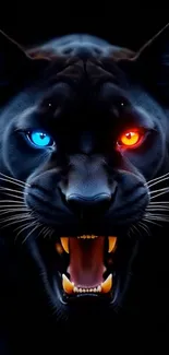 Fierce panther with glowing eyes wallpaper.