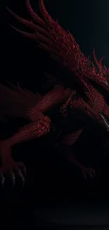 Fierce red dragon on dark background wallpaper