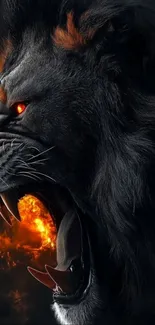 A fierce roaring lion with fiery eyes in a dramatic black background