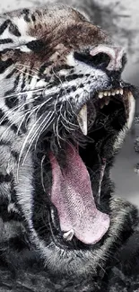 Artwork of a fierce roaring tiger with mouth open wide.