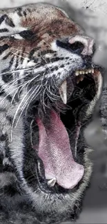 Roaring tiger with open mouth on a textured gray background.