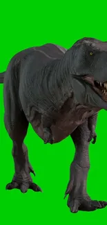 T-Rex dinosaur on a bright green background wallpaper.