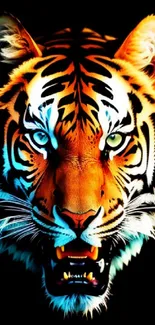 Fierce tiger with striking colors on a black background.