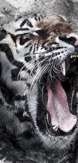 Fierce yawning tiger art with black splatters on white background.