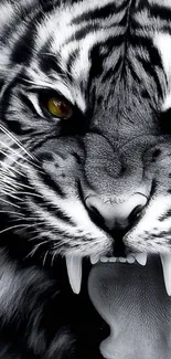 Fierce black and white tiger face wallpaper with striking details.