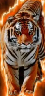 Fierce tiger with electric aura in vibrant orange.