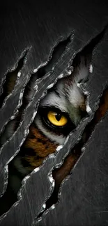 Fierce tiger eye peering through claw marks on a dark background.