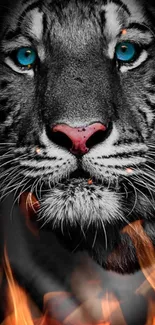 Black and white tiger with blue eyes and flames background.