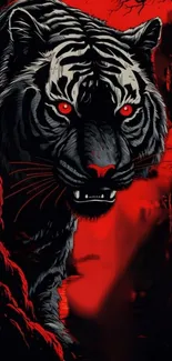 Fierce tiger with red eyes on a dark background wallpaper.