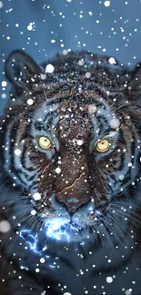 Fierce tiger with snow on face against a blue background.