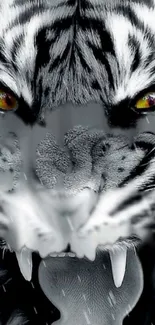 Bold and fierce tiger face wallpaper for mobile phones.