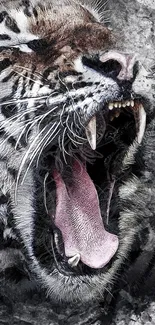 Fierce tiger roaring in black and white tones, perfect for mobile wallpaper.