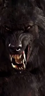 Fierce werewolf snarling in dark wallpaper.