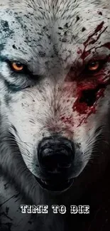 Fierce wolf wallpaper with intense gaze and artistic dark theme.