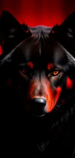 Fierce black wolf with red backdrop, intense gaze.