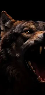 A snarling wolf in a dark setting.