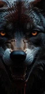 Fierce wolf with intense eyes mobile wallpaper.