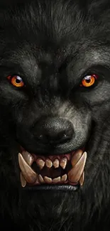 Fierce wolf with orange eyes and dark fur mobile wallpaper.