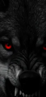 Fierce wolf with red eyes in dark background