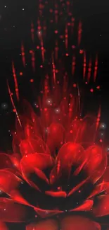 Abstract red flower with glowing petals on a dark background wallpaper.