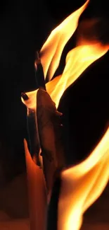 Fiery abstract flames in dark background.