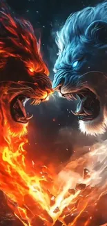 Fierce battle between fiery and icy lions