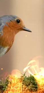 Orange-breasted bird on moss with flames in background, mobile wallpaper.