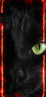 Fiery black cat wallpaper with intense green eyes and a burning aura.