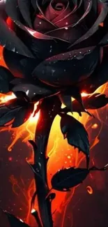 Fiery black rose artwork with vibrant colors.