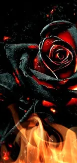 Fiery black rose with red accents glowing dramatically.