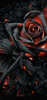 Black rose with fiery red accents on a dark background wallpaper.