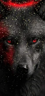 Black wolf with red highlights on dark background.