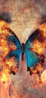 Blue butterfly with fiery wings on a rustic textured background.