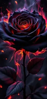 Fiery blue rose with vibrant flames in dramatic setting.