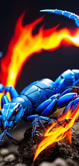 Fiery blue scorpion in digital art style on rocky background.