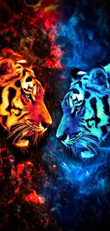 Fiery and blue neon tigers in striking wallpaper.