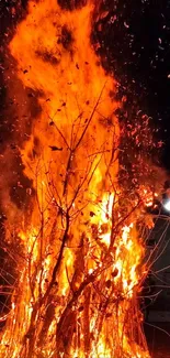 A vibrant bonfire burning brightly at night.