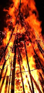 Blazing bonfire with tall flames against a dark night sky.