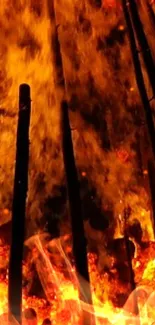 Vibrant bonfire with flames at night, set against a dark background.