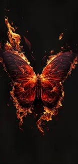 Fiery butterfly with orange flames on a black background.