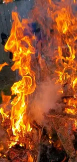 Lively orange campfire flames creating warmth.