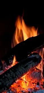 Close-up view of a glowing campfire with bright orange flames.