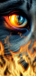 Fiery cat eye with vivid flames mobile wallpaper.