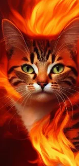 Fantasy cat with fiery orange flames wallpaper