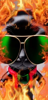 Black cat with sunglasses in fiery flames, digital art wallpaper.