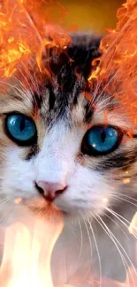 Fiery cat with blue eyes mobile wallpaper.