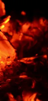 Glowing fiery coals in vibrant red tones.