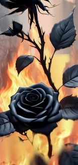 Dark rose amidst vibrant flames on wallpaper.